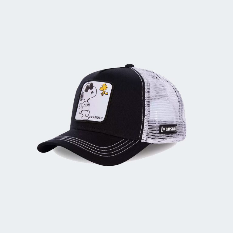 Gorra CAPSLAB NAW1 B2 Urban